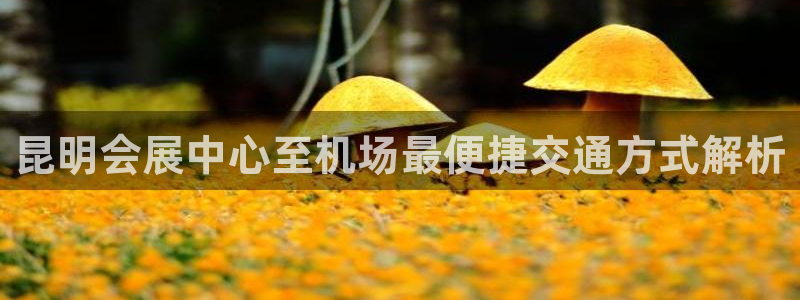 果博平台真实吗安全吗可信吗是真的吗