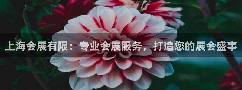 果博客服电话哪里找：上海会展有限：专业会