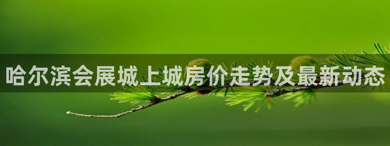 果博平台开户电话：哈尔滨会展城上城房价走势及最新动态