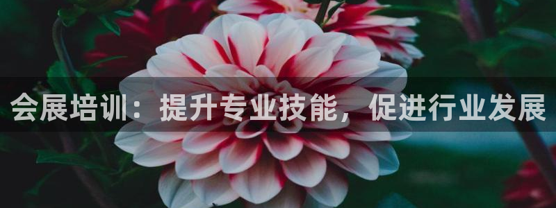 果博注册平台怎么注册账号：会展培训：提升专业技能，促进行业发展