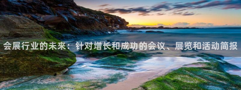 果博平台开户电话是多少：会展行业的未来：针对增长和成功的会议、展览和活动简报