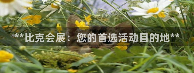 果博公司开户热线：**比克会展：您的首选