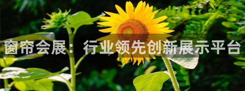 果博平台真实吗知乎：窗帘会展：行业领先创