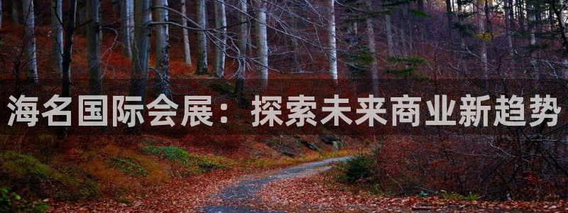 果博注册充值多少钱：海名国际会展：探索未来商业新趋势