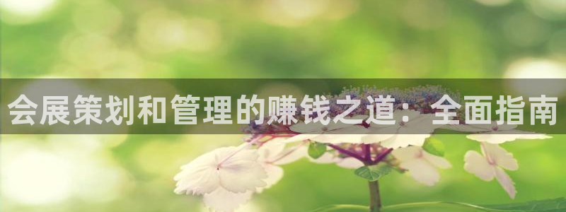 果博官方网：会展策划和管理的赚钱之道：全面指南