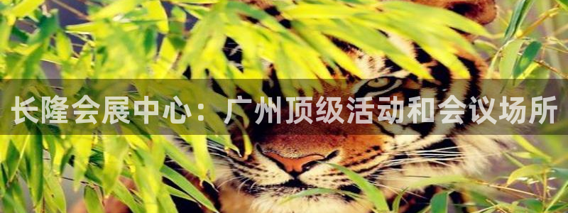 果博总台电话：长隆会展中心：广州顶级活动和会议场所