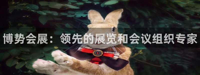 果博公司客服微信怎么加：博势会展：领先的展览和会议组织专家