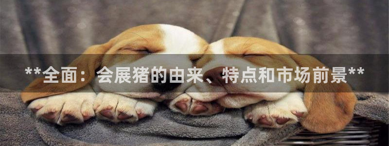 果博手机下载：**全面：会展猪的由来、特