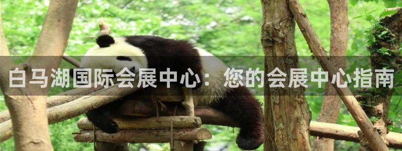 苹果手机能下载果博吗：白马湖国际会展中心：您的会展中心指南