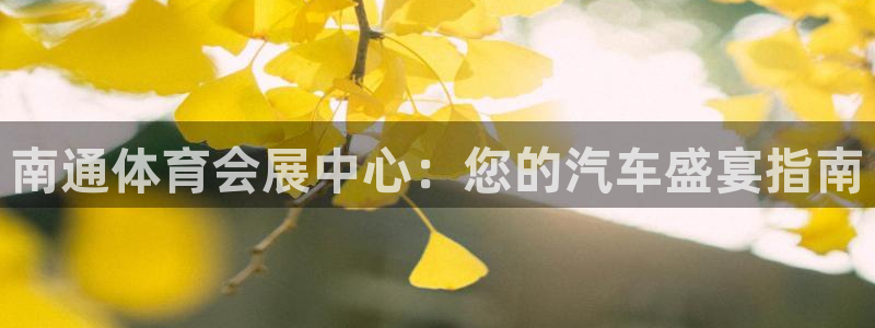 苹果电脑可以下载博易大师吗：南通体育会展中心：您的汽车盛宴指南