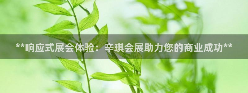 果博平台客服电话：**响应式展会体验：辛琪会展助力您的商业成功**