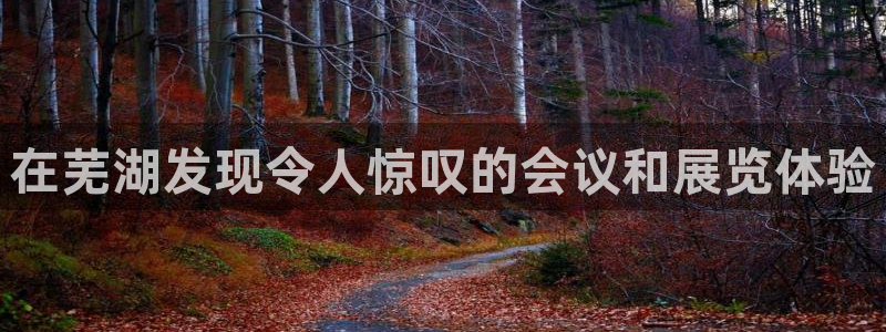 果博平台真实吗安全吗可信吗可靠吗：在芜湖发现令人惊叹的会议和展览体验