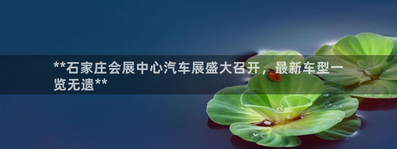 果博官网：**石家庄会展中心汽车展盛大召开，最新车型一
览无遗**