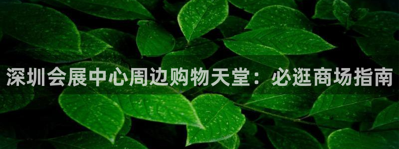 果搏代理：深圳会展中心周边购物天堂：必逛商场指南