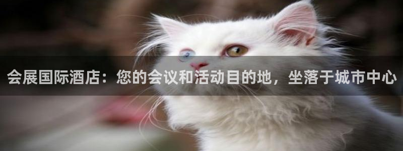 果博公司怎么开户：会展国际酒店：您的会议和活动目的地，坐落于城市中心