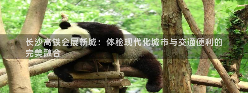 苹果电脑怎么下载伯索：长沙高铁会展新城：体验现代化城市与交通便利的
完美融合