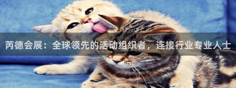 果博平台真实吗安全吗可信吗安全吗：芮德会展：全球领先的活动组织者，连接行业专业人士