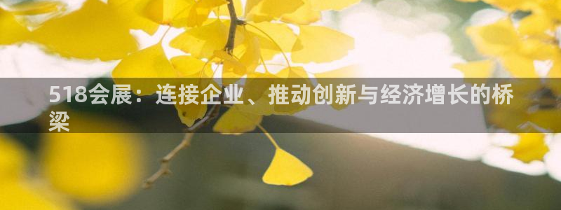 果博官网在银博：518会展：连接企业、推动创新与经济增长的桥
梁