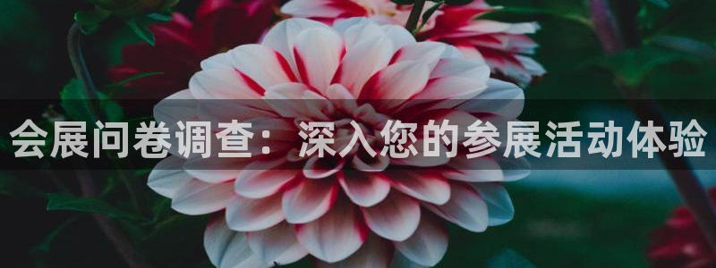 果博官网：会展问卷调查：深入您的参展活动体验