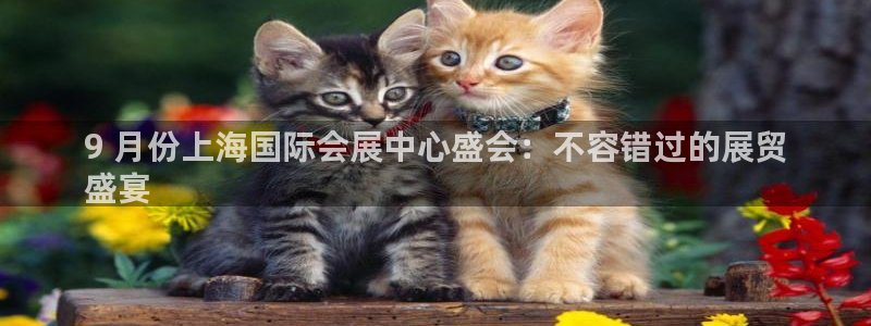 果博注册会员怎么注销：9 月份上海国际会展中心盛会：不容错过的展贸
盛宴