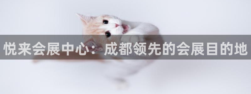 果博东官方网站怎么下载：悦来会展中心：成