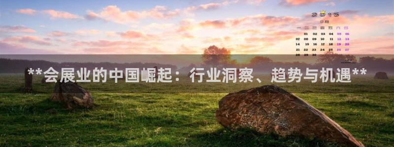 果博官方：**会展业的中国崛起：行业洞察、趋势与机遇**