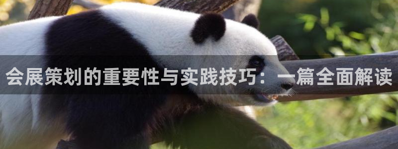 果博注册充值：会展策划的重要性与实践技巧：一篇全面解读