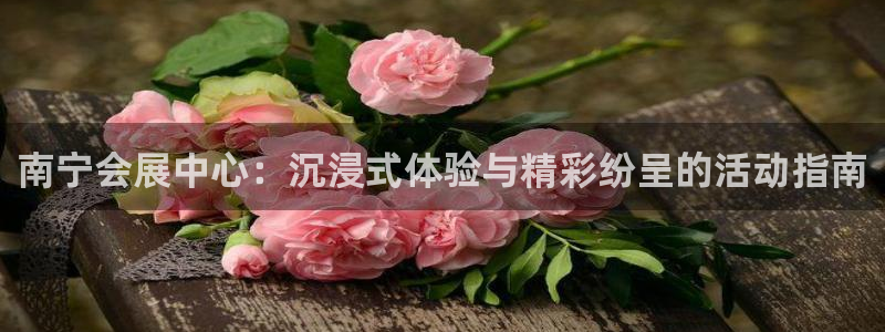 果博代理怎么注册：南宁会展中心：沉浸式体验与精彩纷呈的活动指南