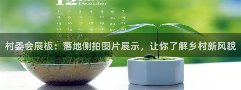 果博代理电话多少号码：村委会展板：落地侧拍图片展示，让你了解乡村新风貌