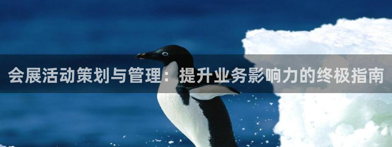 果博官方：会展活动策划与管理：提升业务影响力的终极指南