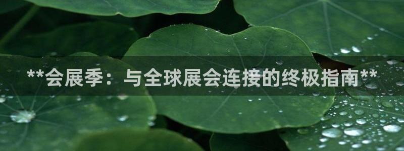 果博网站二维码：**会展季：与全球展会连接的终极指南**