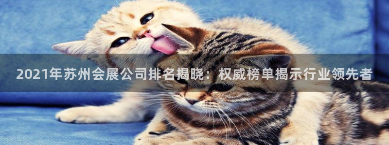 电脑怎么下载果考网：2021年苏州会展公司排名揭晓：权威榜单揭示行业领先者