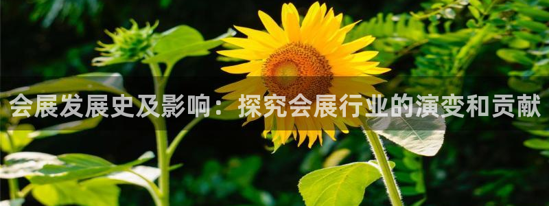 果博官网首页