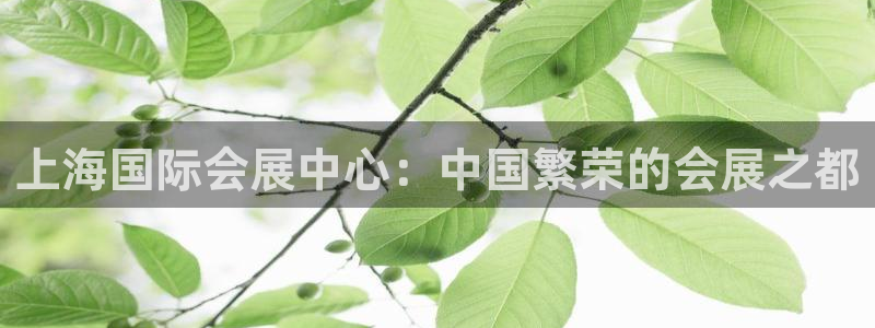 果博平台真实吗知乎：上海国际会展中心：中国繁荣的会展之都