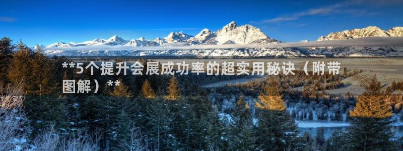 果博注册会员要钱吗：**5个提升会展成功率的超实用秘诀（附带
图解）**