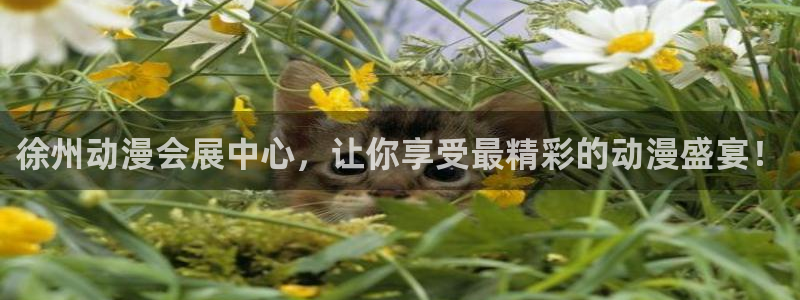 果博客服电话：徐州动漫会展中心，让你享受最精彩的动漫盛宴！