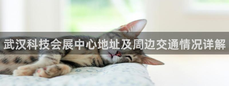 果博是怎么登录的