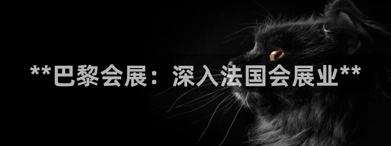 果博平台苹果电脑怎么下载：**巴黎会展：
