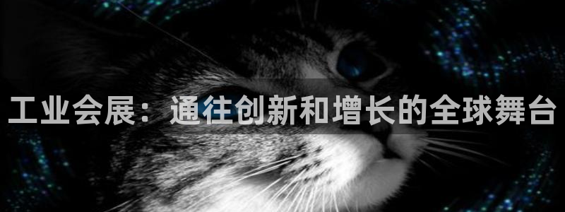 果博东官方网站怎么下载