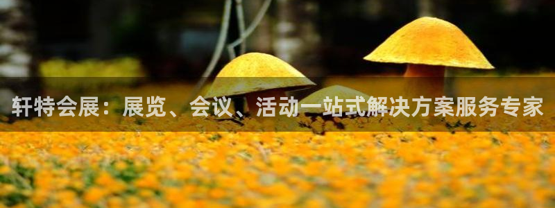 果博官网