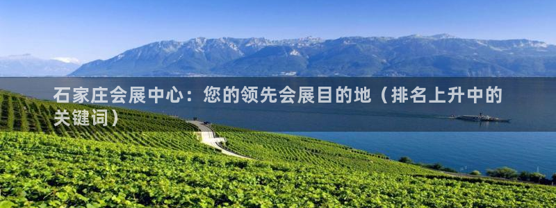 果博账号注册