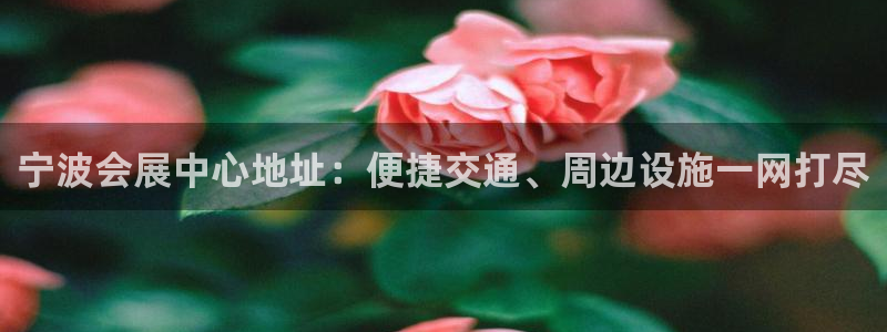 果博公司会员注册账号