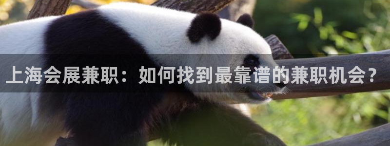 果博服务电话：上海会展兼职：如何找到最靠谱的兼职机会？