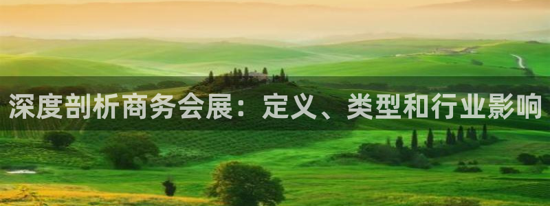 果博注册：深度剖析商务会展：定义、类型和行业影响