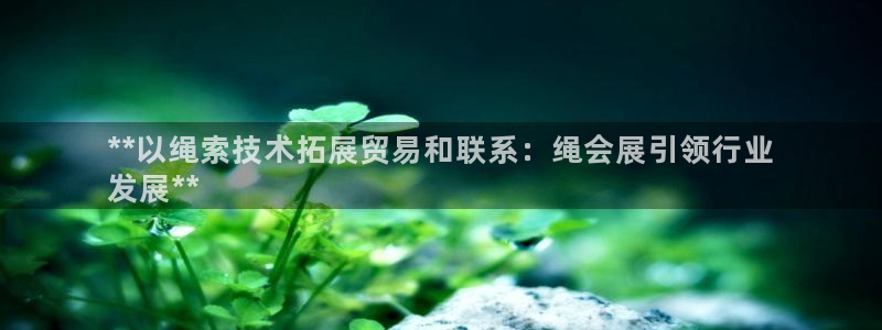 果博平台真实吗安全吗可信吗安全吗：**以绳索技术拓展贸易和联系：绳会展引领行业
发展**