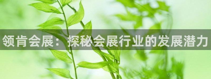 果博注册客服电话是多少号码