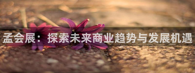 果博平台真实吗安全吗是真的吗：孟会展：探索未来商业趋势与发展机遇