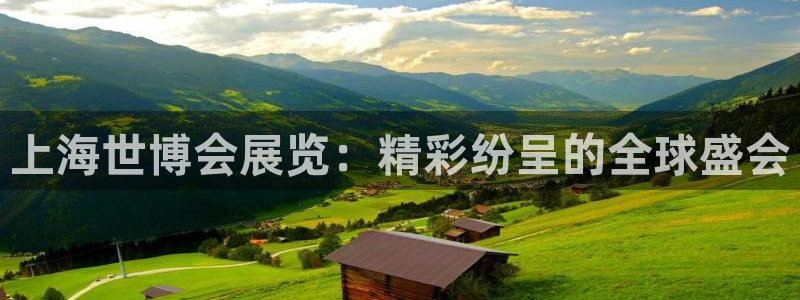 果博环保公司：上海世博会展览：精彩纷呈的全球盛会