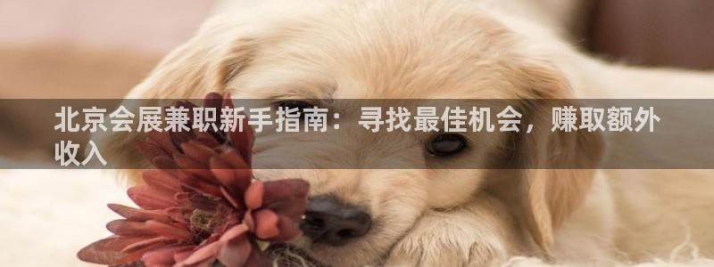 果博账号注册：北京会展兼职新手指南：寻找最佳机会，赚取额外
收入