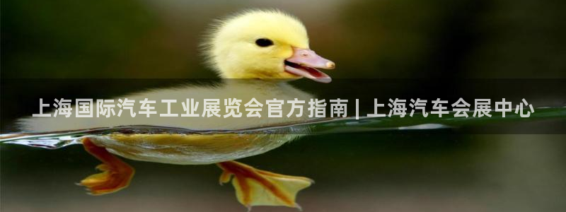 果博环保官网：上海国际汽车工业展览会官方指南 | 上海汽车会展中心